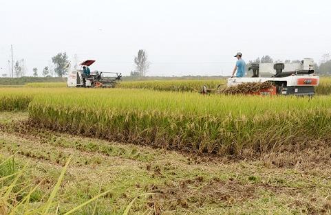 ���ջ��񣺻���¡¡������