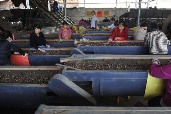 927գ¡ذɽһչվڷּʰ