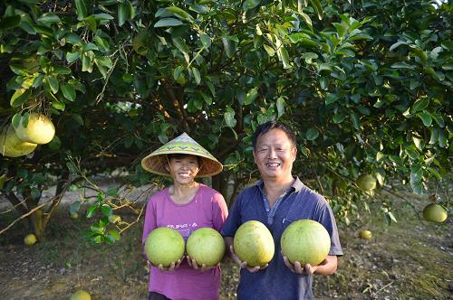 Դֳũչʾողժ֣928㣩