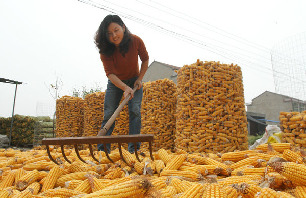 �����Ϫ�������ո�������Ļ