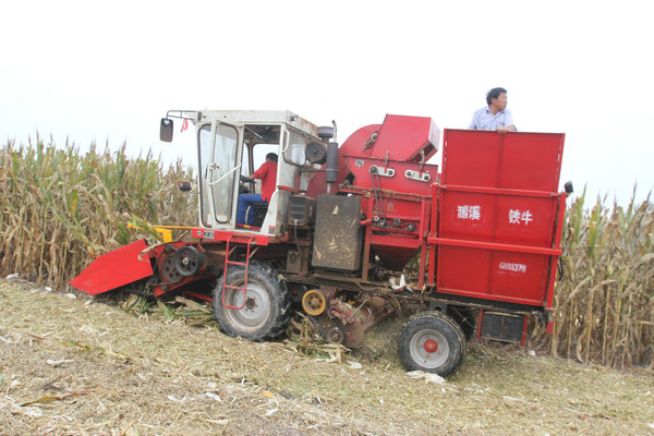 ���׻���