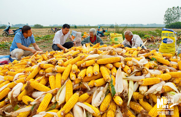 ���ո��ϣ����չ��¡������յĿ���