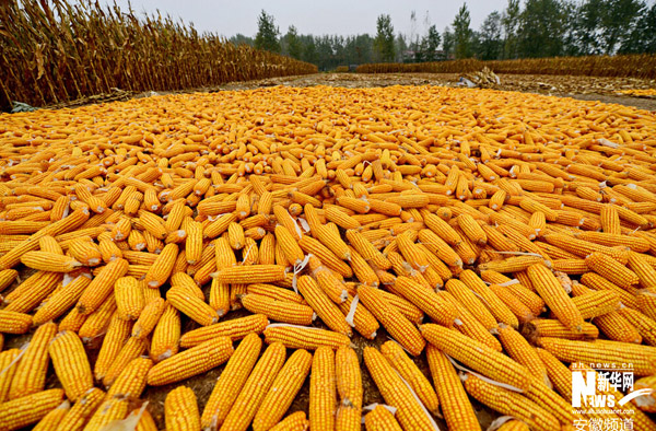 ���ո��ϣ����չ��¡������յĿ���2