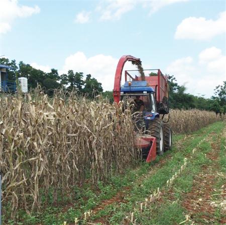 ʡũƹվչ׽ոѻеջ