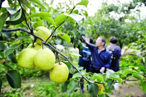 ������Ǩ����԰���ղ�ժ��