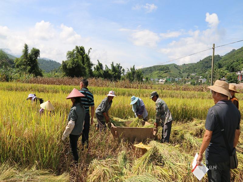 ��������ˮ�������׸߲�����ʾ�������Ч����