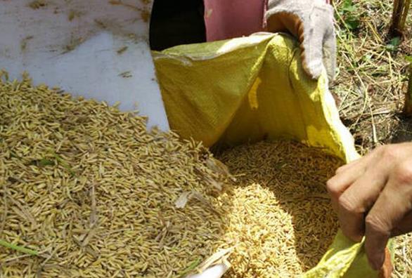 ����������������ˮ�������ո�æ