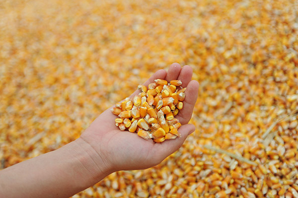 106գںʡش壬һλιڻеһ