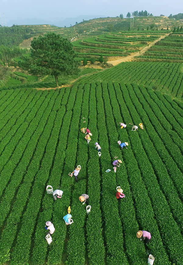 107գڸʡȪаϪԴɽũæŲ裨Ƭ