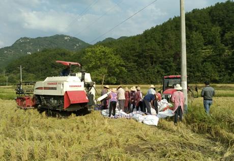 ���ս�կ���Ƹ�ɽ�л���ȫ�̻�е������