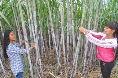 ���ϲ�Դ����ʡ���ƽ�屻ȷ��Ϊ�����ҵ�Ƽ�ʾ����