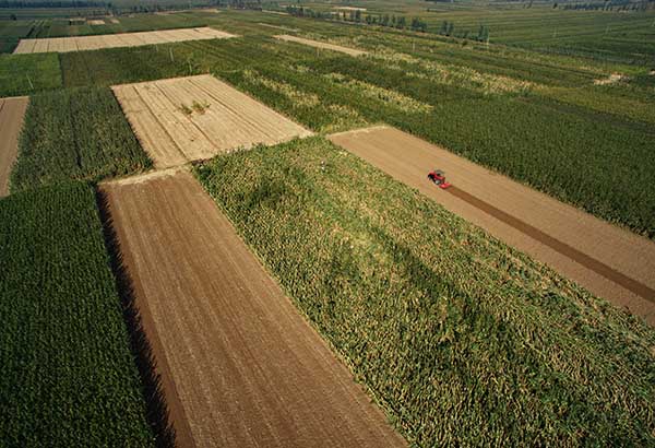 �ӱ�ץ��ũʱæ�ﲥ