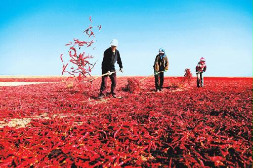 ����ʡ����ũ������æ