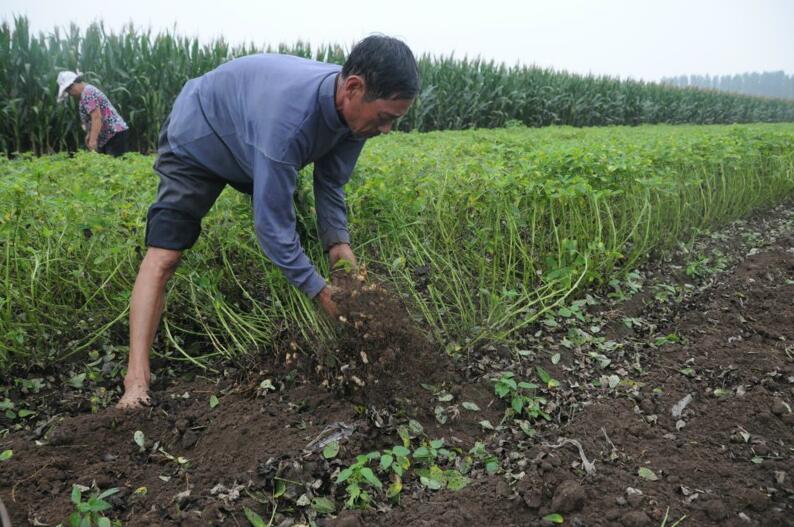 ɽ������26��Ķ�������� ���조ȫ��������ҵ���ء�