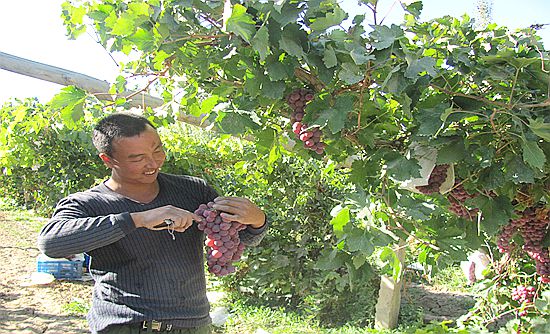 ����ػͣ���׼�������⡱�������Ѳ�����