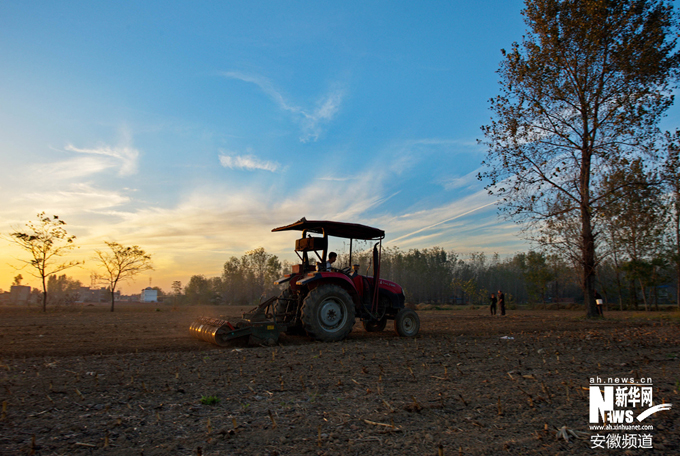 ���ո��ϣ�����¡¡æ����