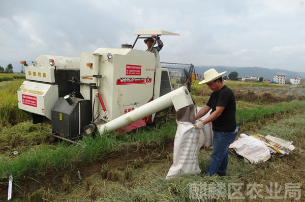 云南曲靖市麒麟区水稻机收助民增收