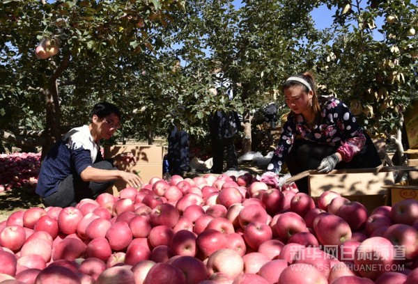 ���ྲ������ƻ��֮�硱��ժæ �����տ���