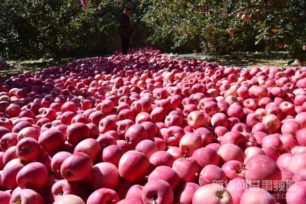 ���ྲ������ƻ��֮�硱��ժæ �����տ���2