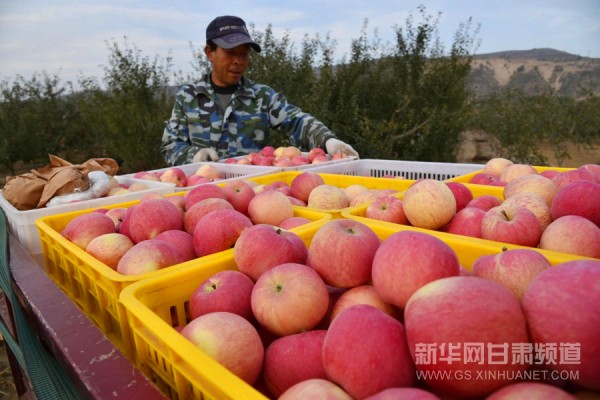 ���ྲ������ƻ��֮�硱��ժæ �����տ���3