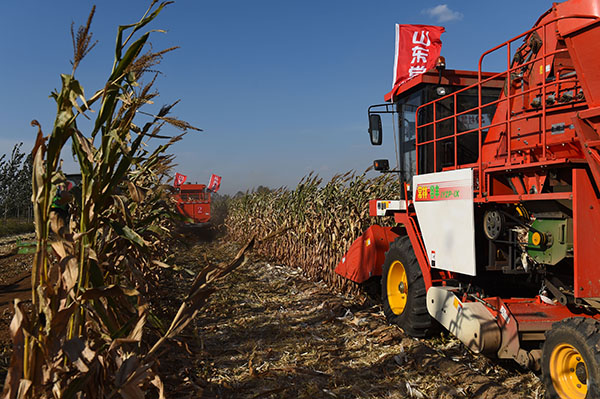 山东宁津:“三联三增”富民