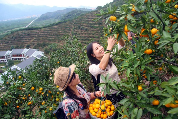 107գٺӿȪˮרҵ繤Աڲժᡱ۽ۡ