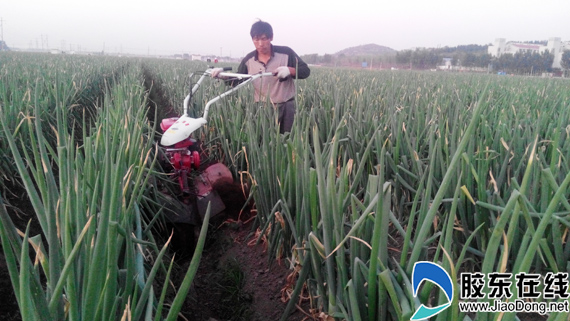 ɽ�������С��۽������䡰�ۿ�����