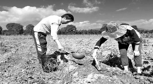 ���϶�ɽ��С�ֵֽ����æ