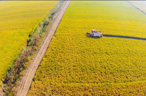 ������ӣ�ˮ����е���ո���ȫ��չ��