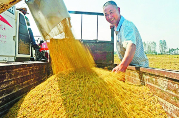 ���պϷʣ��������