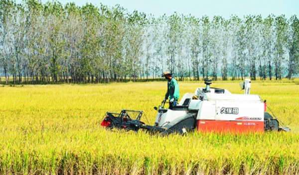 ���պϷʣ��������