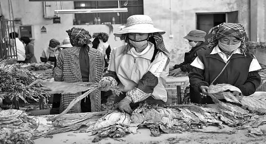 ������Ϫ�������չ�����β��2