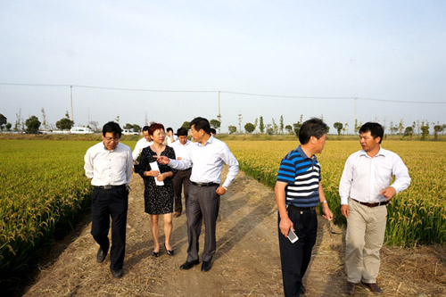 ϺũԺڳؾٰʾƷչʾۻ