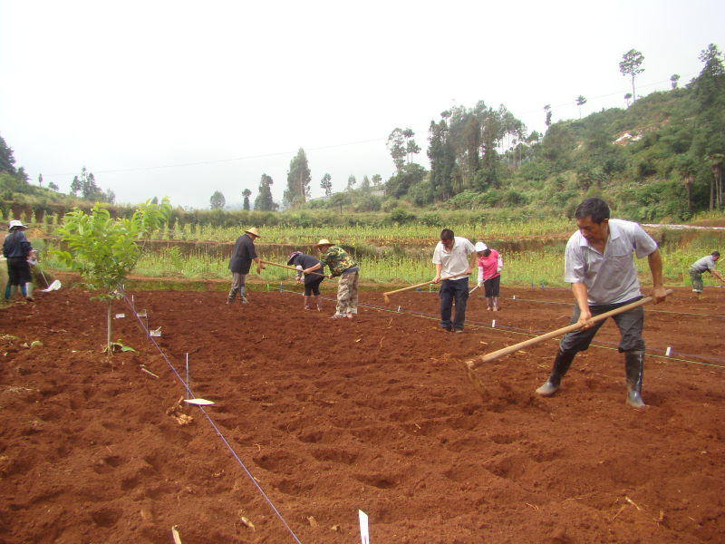 ���϶�ɽ������������2016��ɽ���Ͳ�Ʒ��ɸѡ����