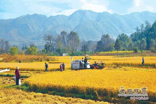 ������������������Ʒ���������г���ӭ