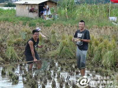 ���Ϸ�����ũҵ���ŷ��ֵ�������