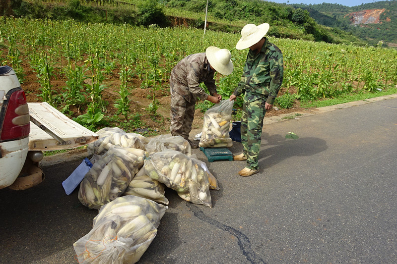 ���϶�ɽ�ظ����������濪չ�������ʾ���������