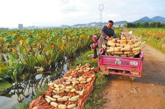 ����������ǧĶ��źϲ�����