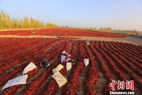 ݲͳƾͳƣ격ֲ6.77Ķ0.87Ķ14.7%