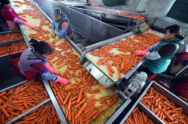 1013գӱʡشũڷּܲ