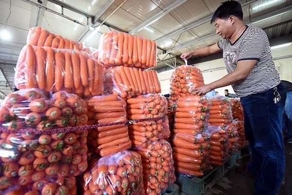 1013գӱʡشũڷźܲ