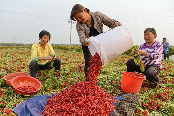 �ӱ��ɰ������콷ӳ����ռ�