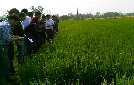 ���ջ����أ�������