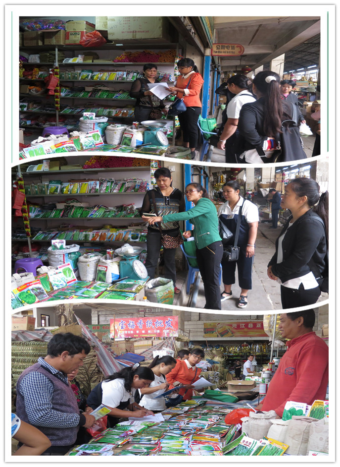 云南元江开展2015年秋季种子市场专项监管和种子质量监督抽查