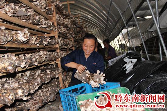 ǰͭͭĴʳþ100㹽㹽