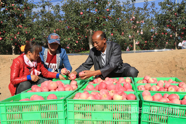 ��������ƻ�������