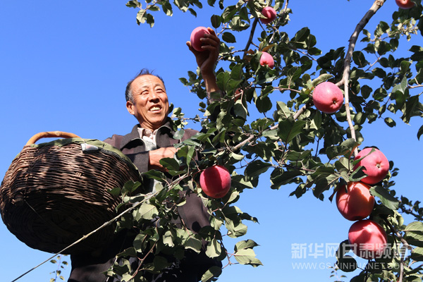 10��11�գ����������̿������ݴ��ũ���ڲ�ժƻ����