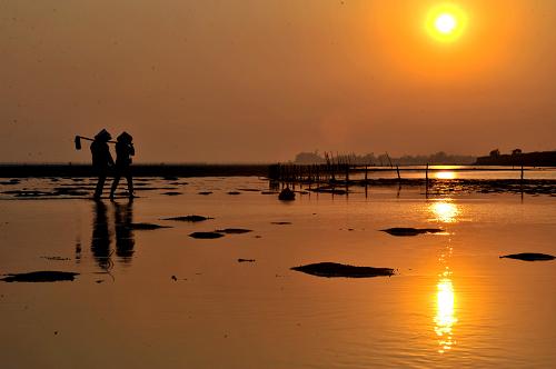 �ڹ��������д��ɳ����������Ϻ�������10��17���㣩��