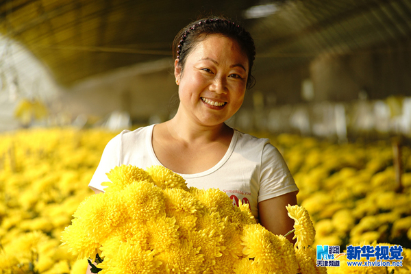 ũæڲժľջʱӦ򻨻г