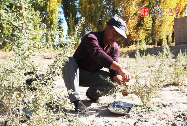 �����̨�ϻ��򣺺������ֲ�ؿ�Ⱥ����������